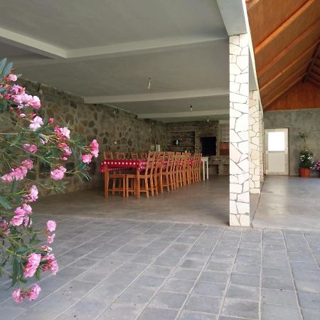 Pensiunea Tiuta Hotel Corbeni Buitenkant foto