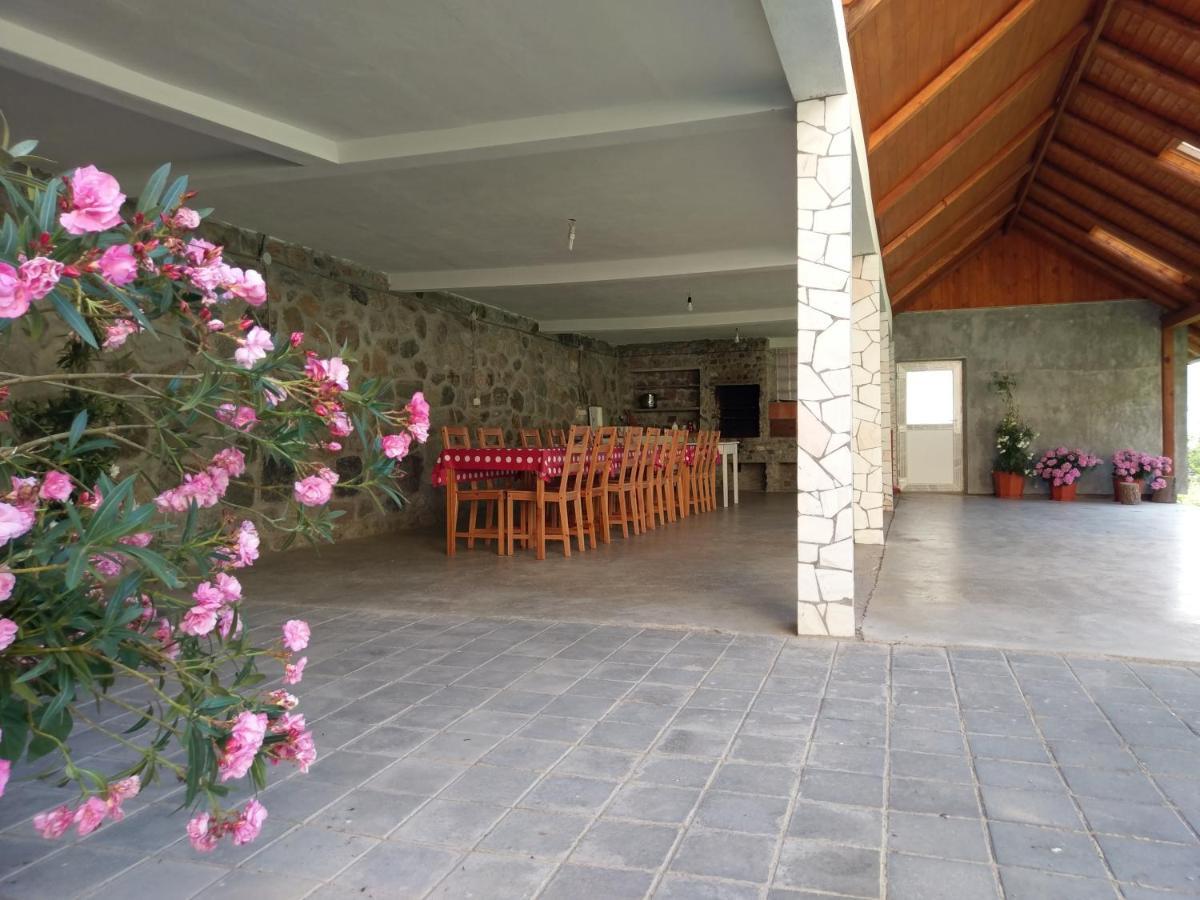 Pensiunea Tiuta Hotel Corbeni Buitenkant foto