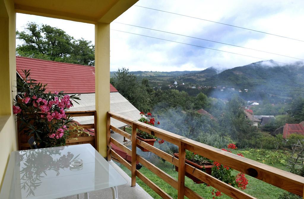 Pensiunea Tiuta Hotel Corbeni Buitenkant foto