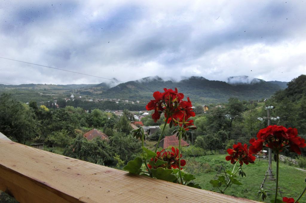 Pensiunea Tiuta Hotel Corbeni Buitenkant foto