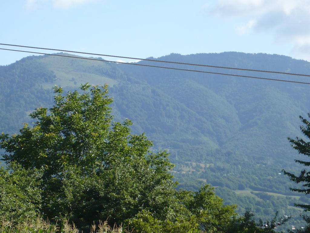 Pensiunea Tiuta Hotel Corbeni Buitenkant foto