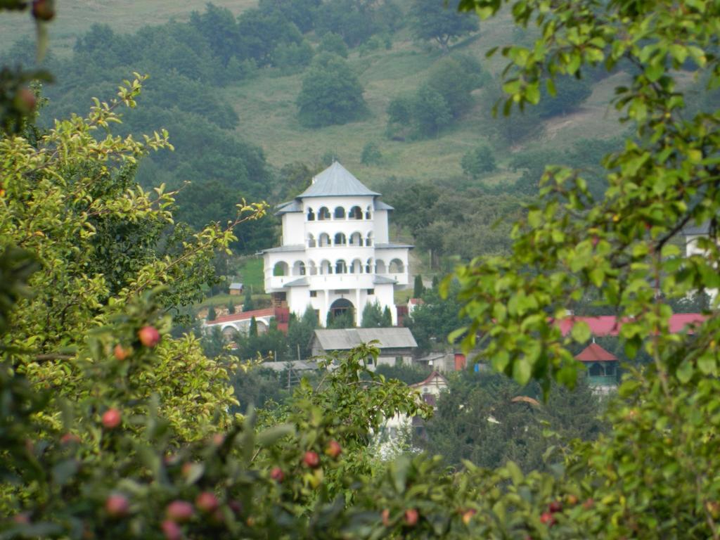 Pensiunea Tiuta Hotel Corbeni Buitenkant foto