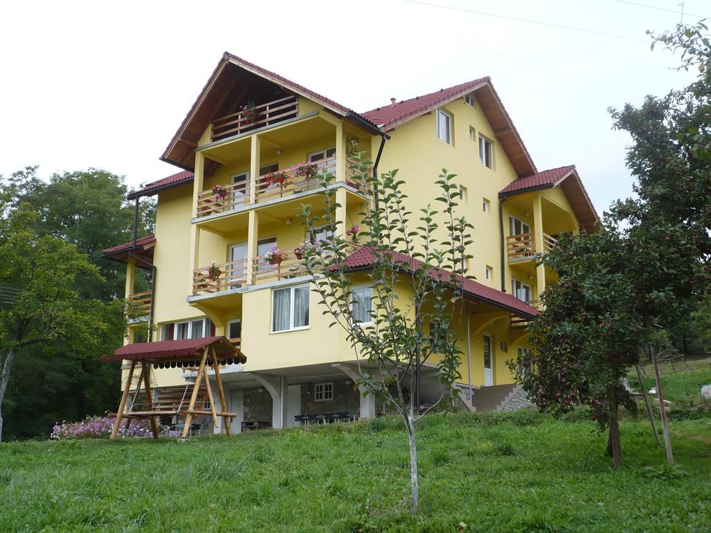 Pensiunea Tiuta Hotel Corbeni Buitenkant foto