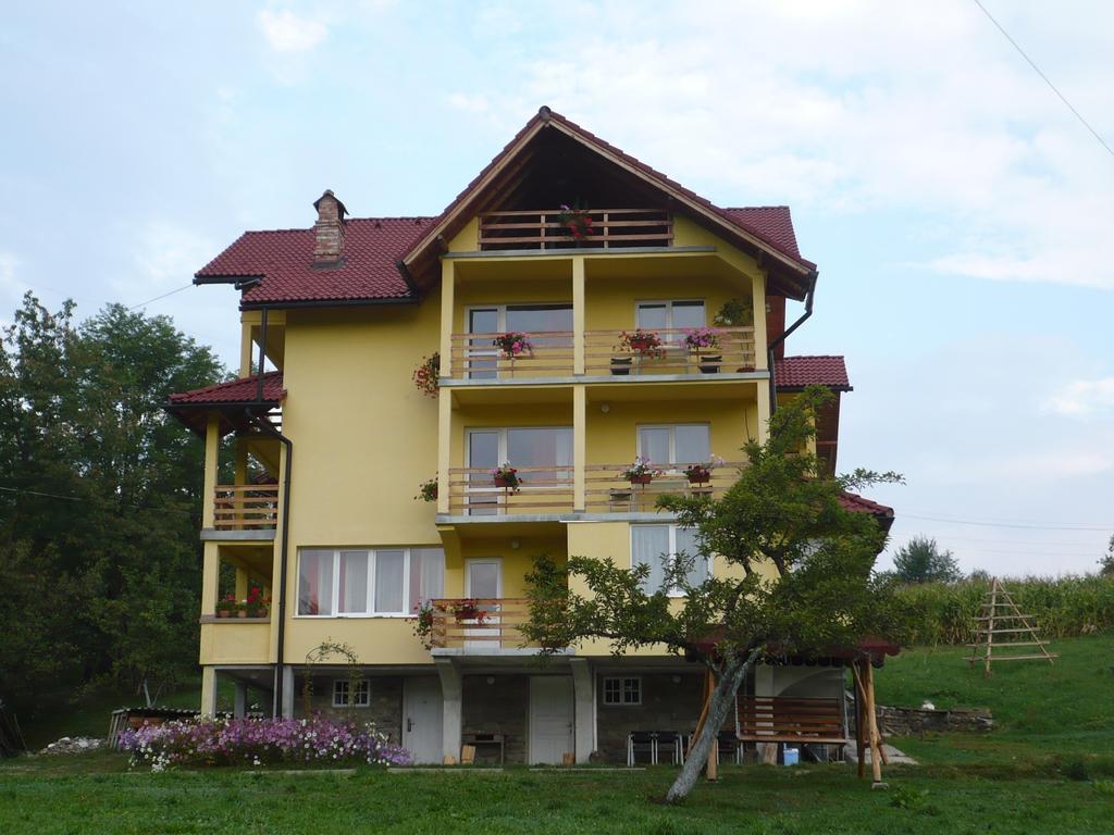 Pensiunea Tiuta Hotel Corbeni Buitenkant foto