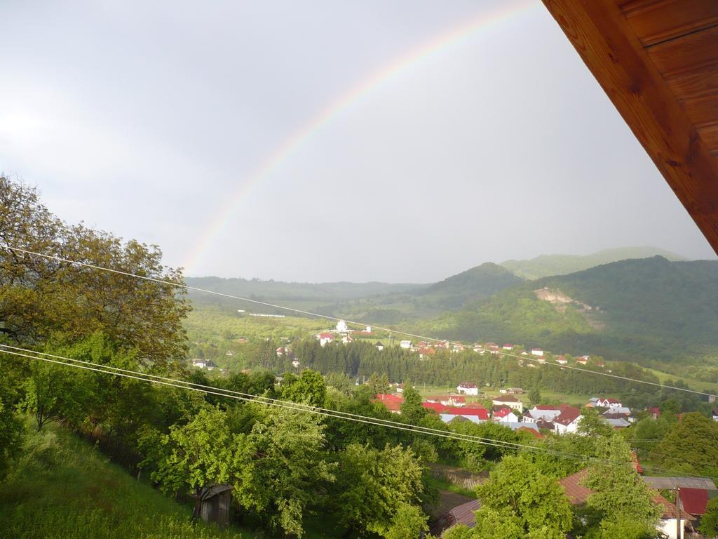 Pensiunea Tiuta Hotel Corbeni Buitenkant foto