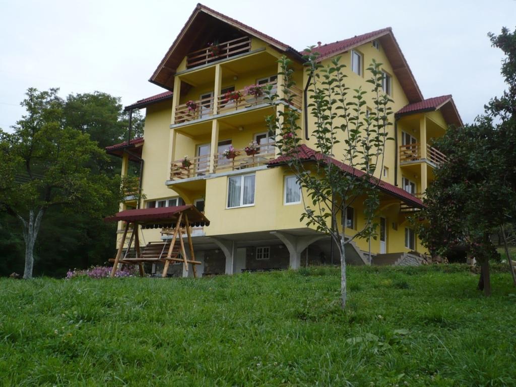 Pensiunea Tiuta Hotel Corbeni Buitenkant foto